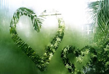 NG娱乐- 第十九届运动会棒垒球比赛举行 