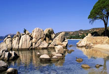 NG娱乐- 第十九届运动会棒垒球比赛举行 