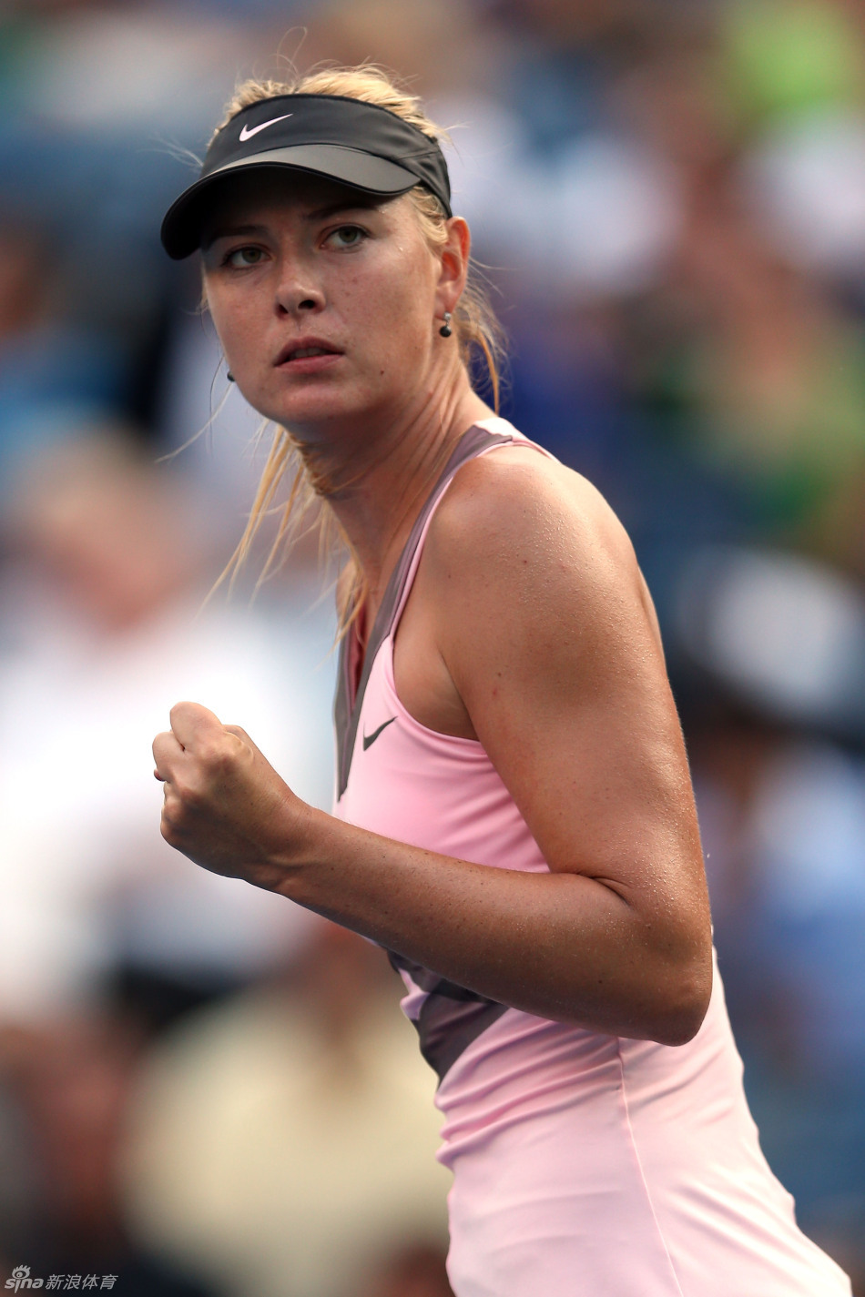 莎拉波娃在德国队比赛中突破纪录，势不可挡引发热议！的简单介绍